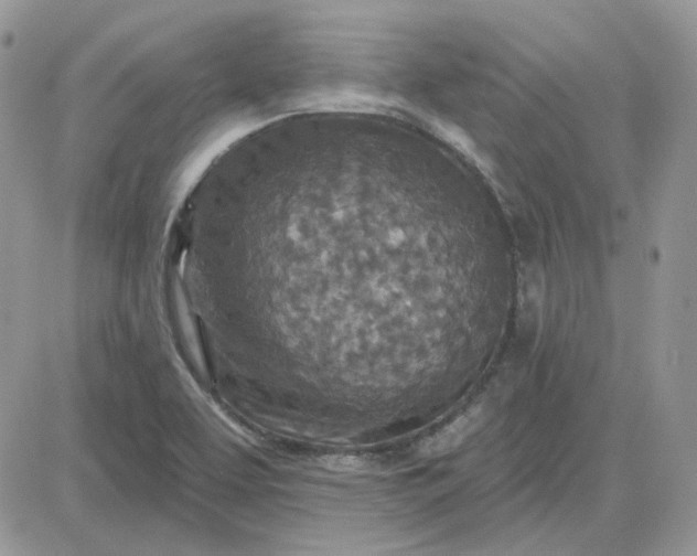 X0000081281463200701251615