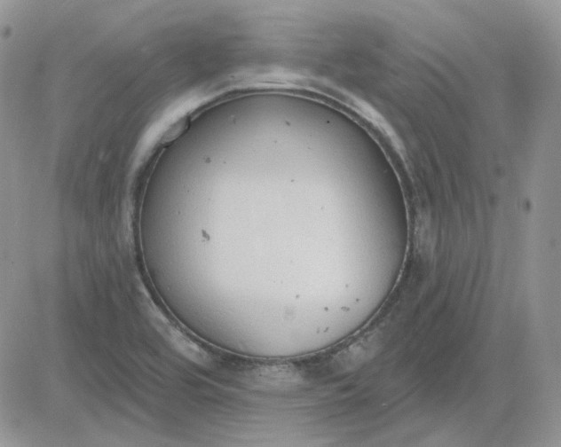 X0000081281464200701251615