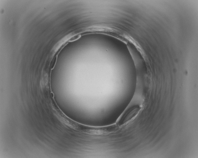 X0000081281465200701251615