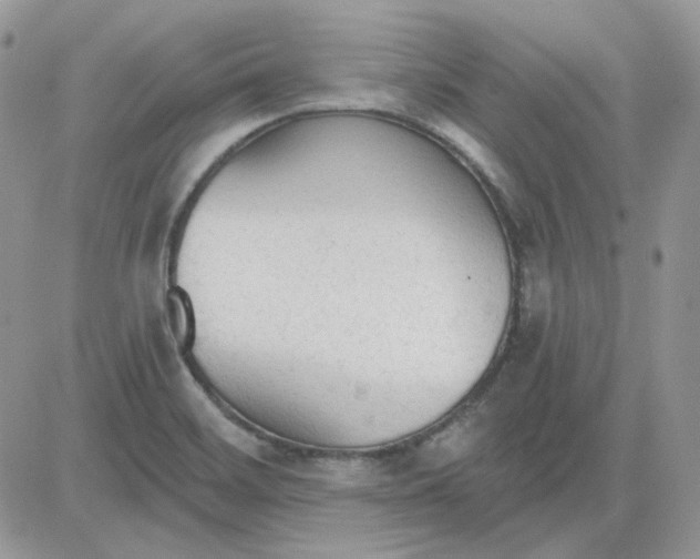 X0000081281468200701251615