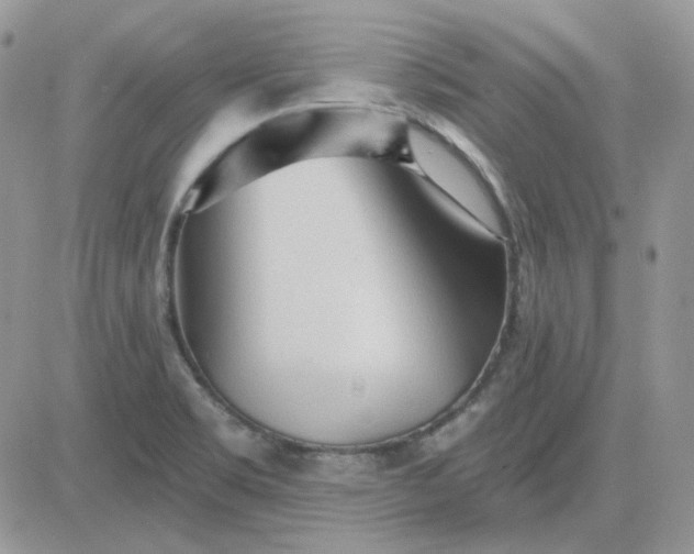 X0000081281469200701251615