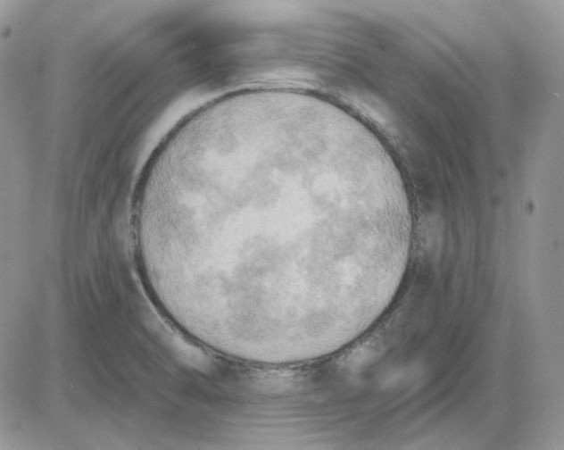 X0000081281470200701251615