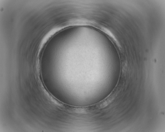 X0000081281472200701251615