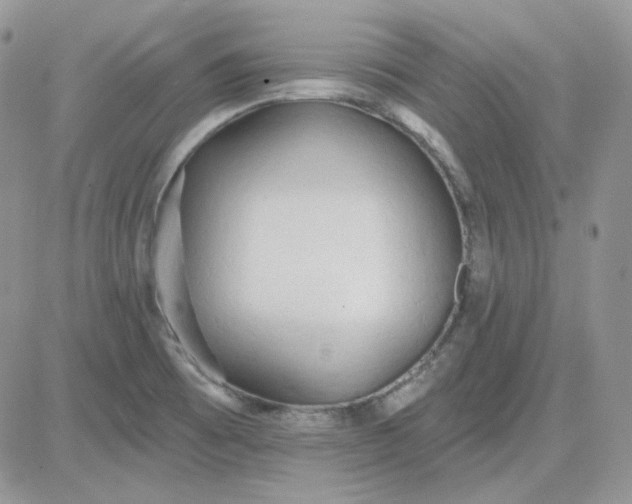 X0000081281473200701251615