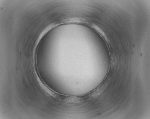 X0000081281475200701251615