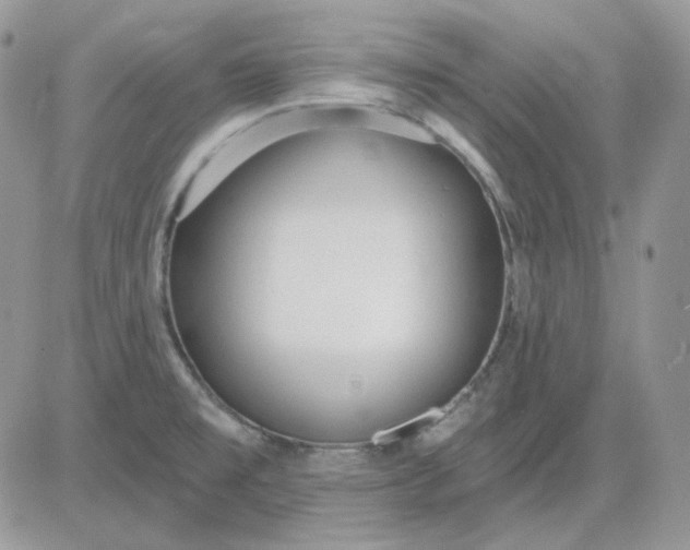 X0000081281477200701251615