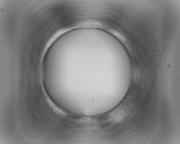 X0000081281478200701251615