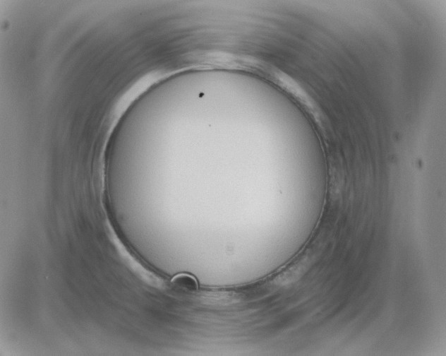 X0000081281479200701251615