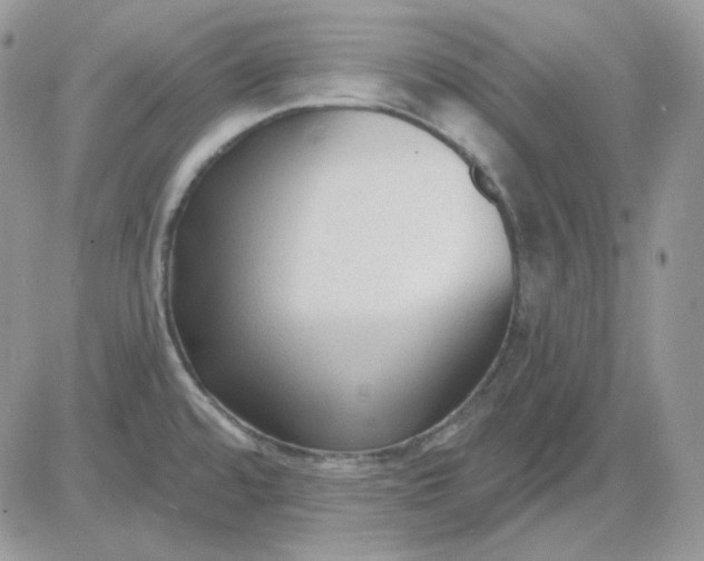 X0000081281480200701251615