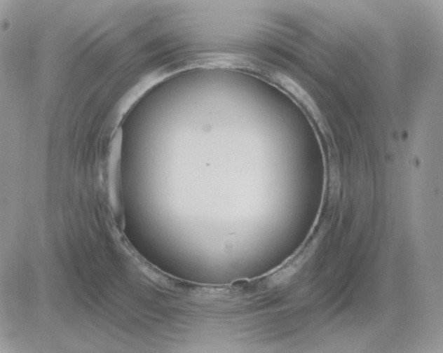 X0000081281481200701251615