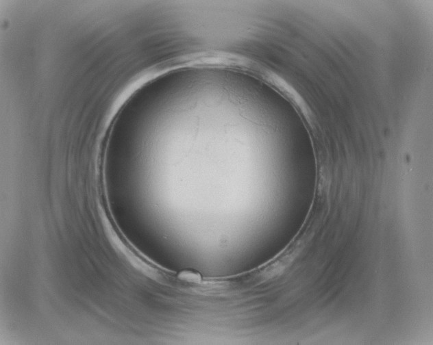 X0000081281483200701251615