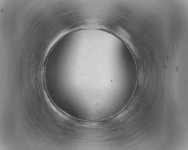 X0000081281484200701251615