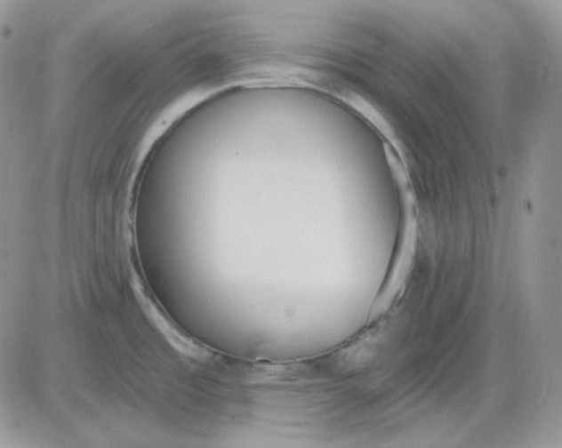 X0000081281485200701251615