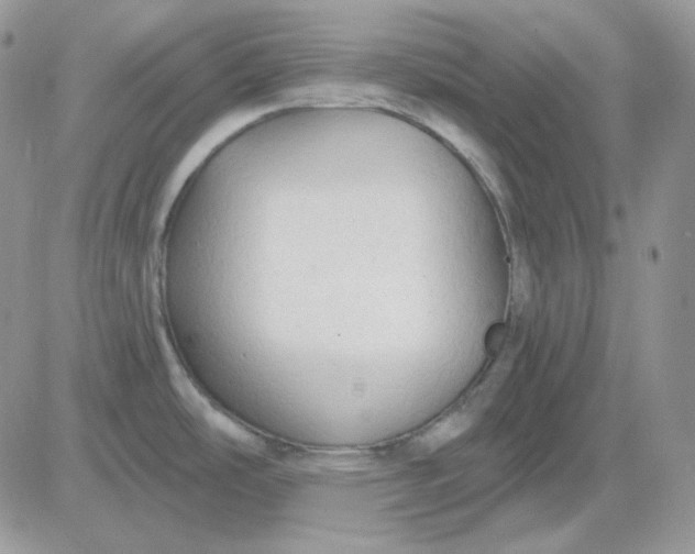 X0000081281486200701251615