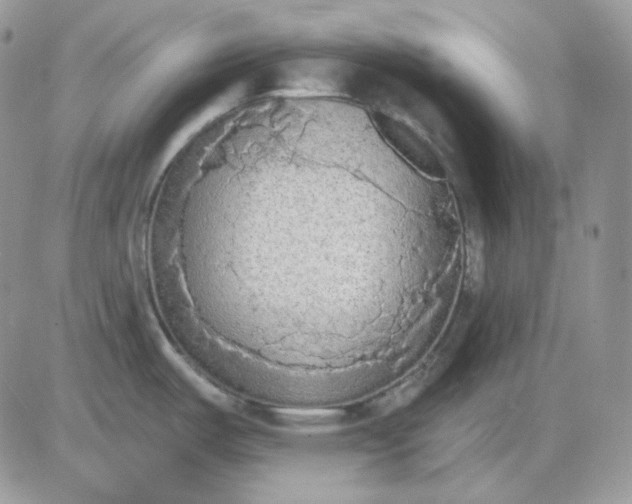 X0000081281487200701251615