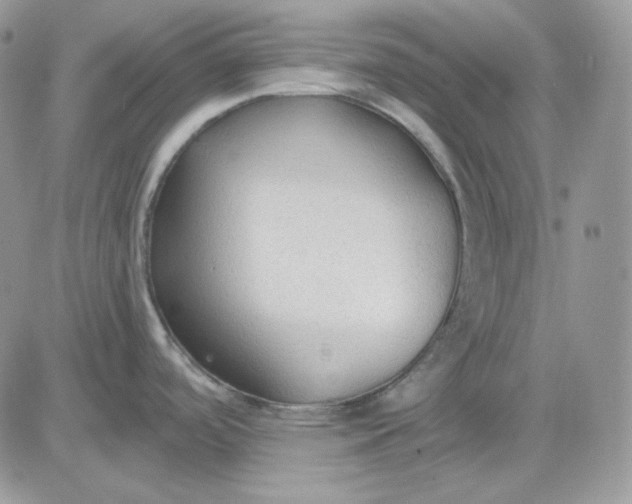 X0000081281488200701251615