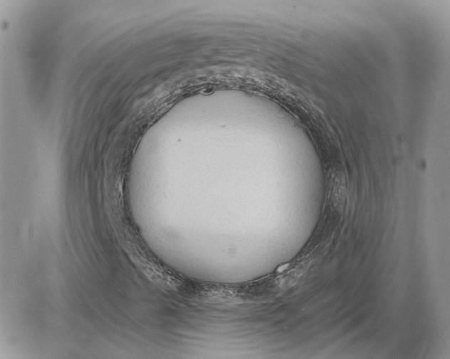 X0000081281489200701251614