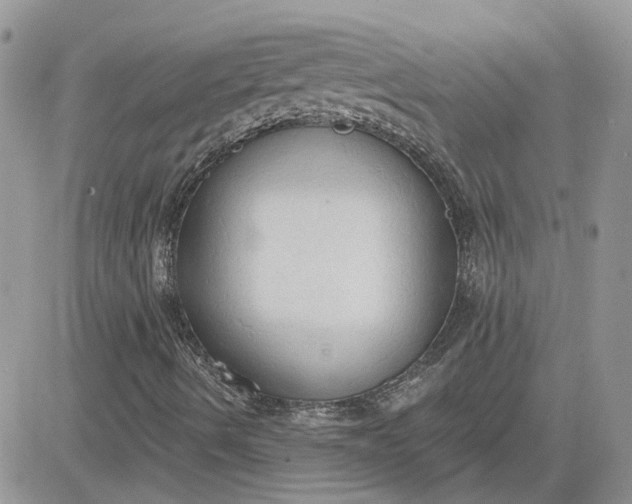 X0000081281490200701251614