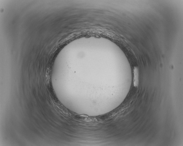 X0000081281491200701251614