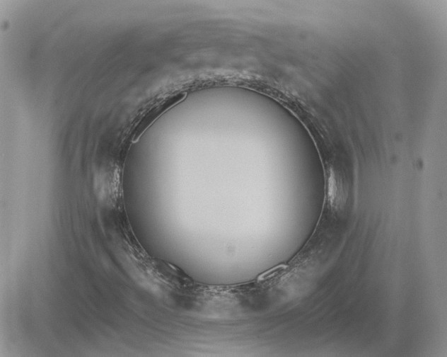 X0000081281492200701251614