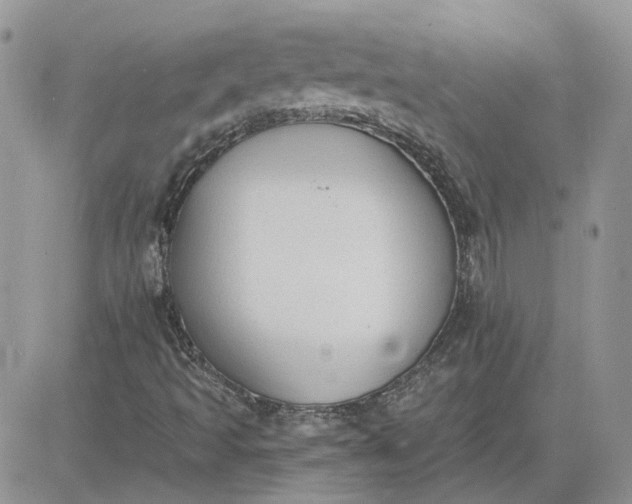 X0000081281493200701251614