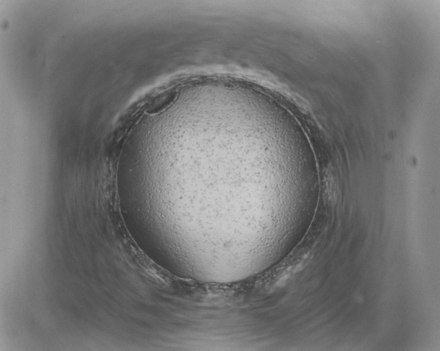 X0000081281494200701251614