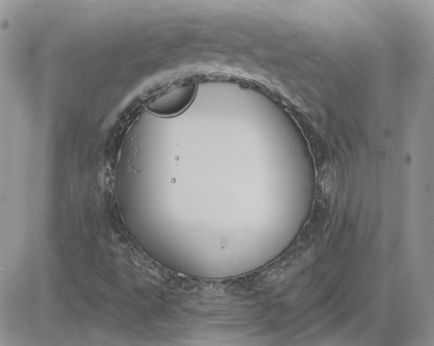 X0000081281495200701251614