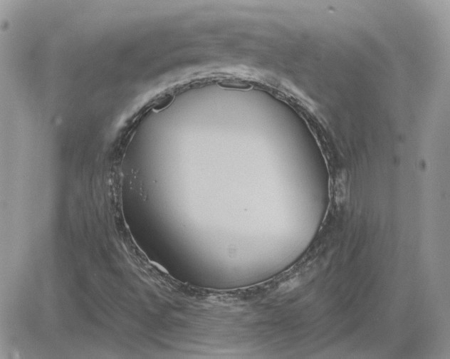 X0000081281496200701251614