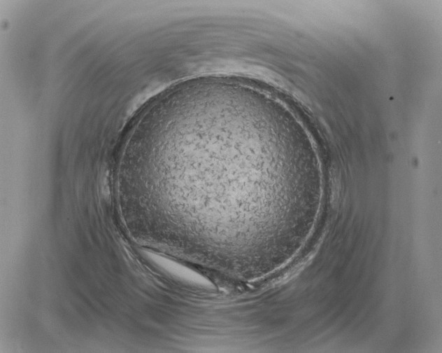 X0000081281497200701251614