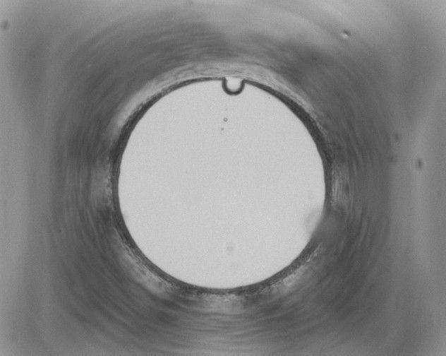 X0000081281498200701251614