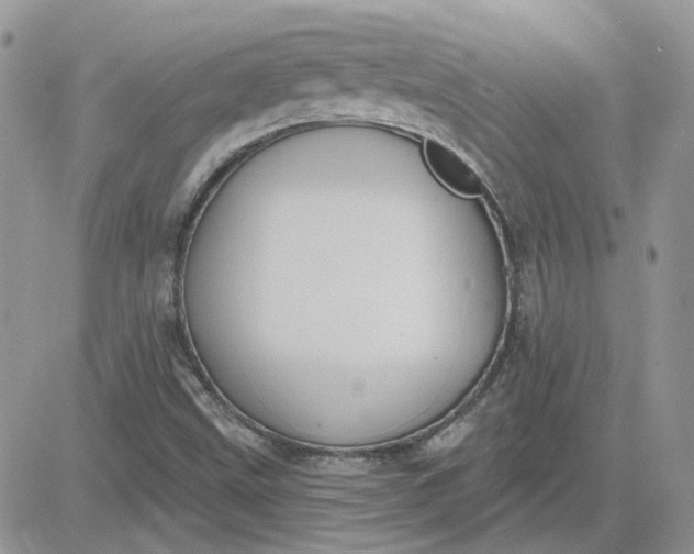 X0000081281499200701251614