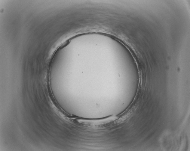 X0000081281500200701251614