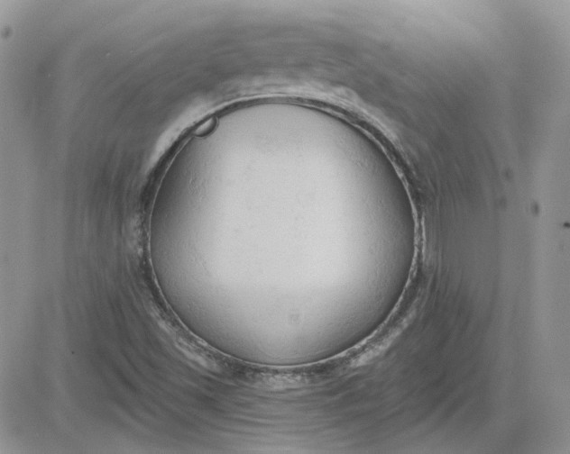 X0000081281501200701251614