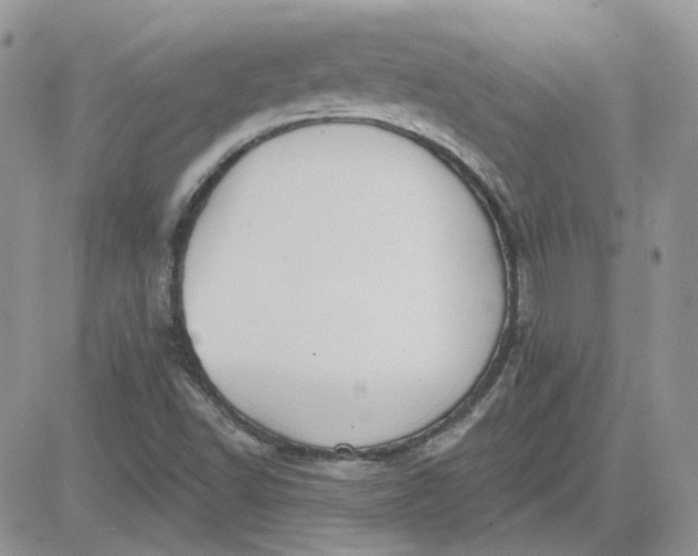 X0000081281502200701251615