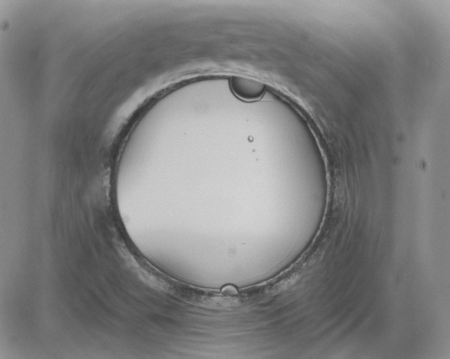 X0000081281503200701251615