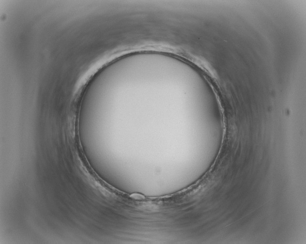 X0000081281504200701251615