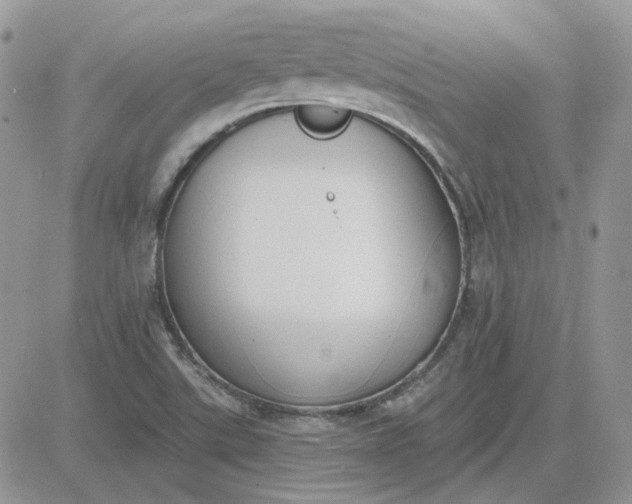 X0000081281507200701251615