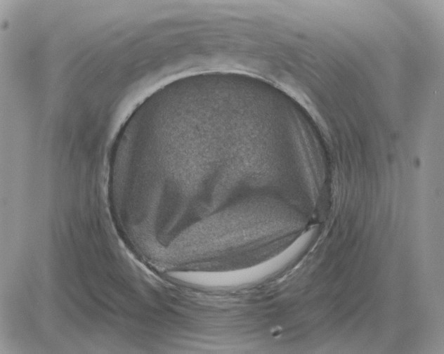 X0000081281508200701251615