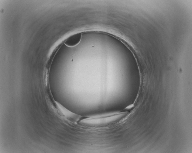 X0000081281510200701251615