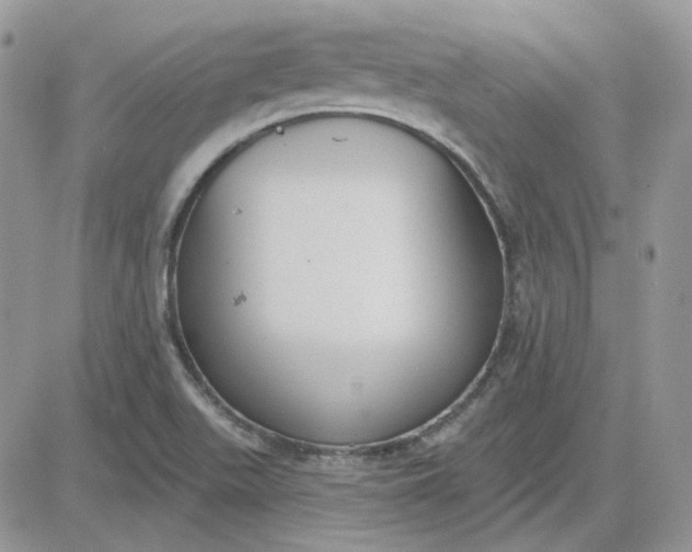 X0000081281511200701251615