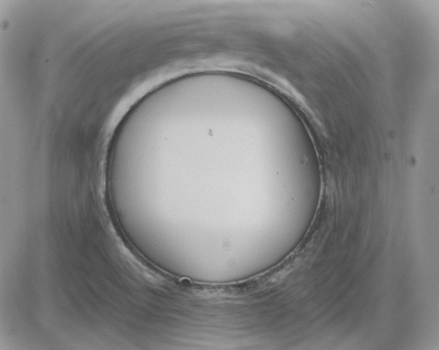 X0000081281512200701251615