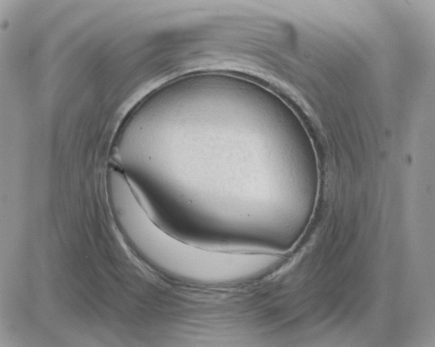 X0000081281513200701251615