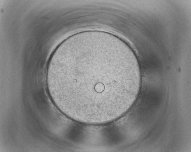 X0000081281514200701251615