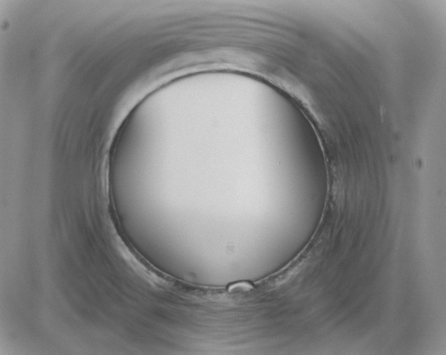 X0000081281516200701251615