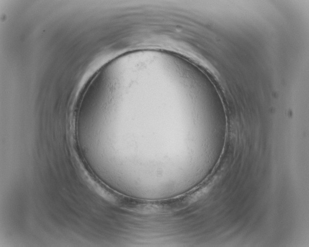 X0000081281517200701251615