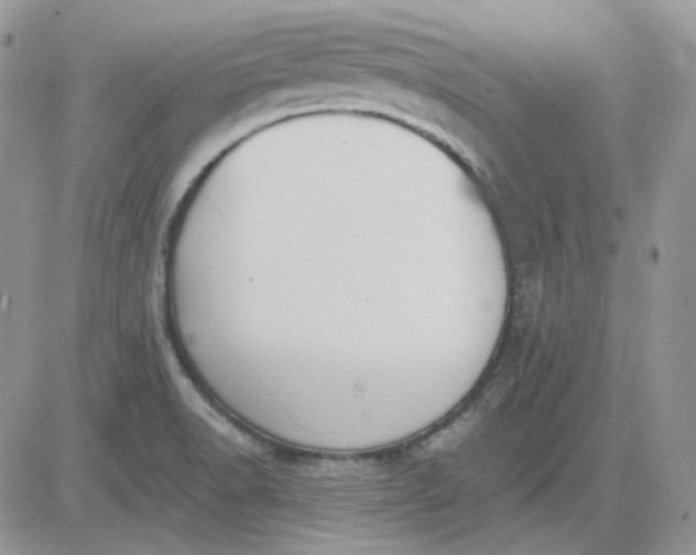 X0000081281518200701251615