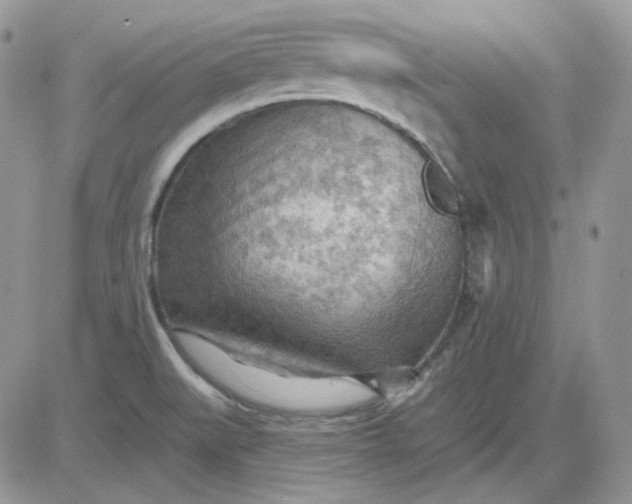 X0000081281519200701251615