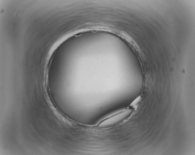 X0000081281520200701251615