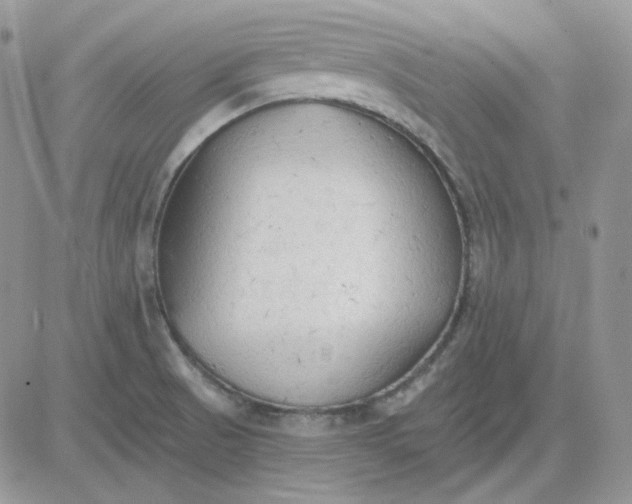 X0000081281521200701251615