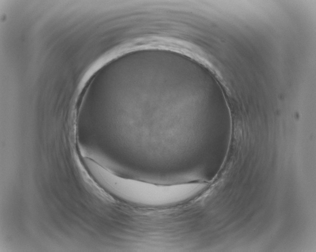 X0000081281522200701251615